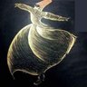 Фото профиля Nauman Khan