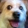 Profilbild von Sandypar