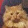 Youdaman3978's profile picture