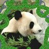 しまにゃん's profile picture