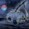 Śliweczka🐺's profile picture