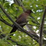 Urmston Meadows profil fotoğrafı