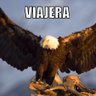 Aguila Viajera 的头像