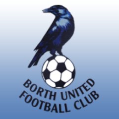 Borth United FC's profile picture