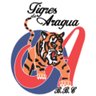 Фото профиля JORGE ABELARDO BRAVO
