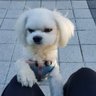 vivi🦌🌻🌰💐's profile picture