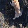 ほよよ 的头像