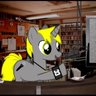 Фото профиля Cruizer Brony
