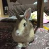 Фото профиля デューク
