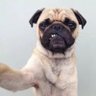 cz0021's profile picture