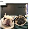 e profil fotoğrafı