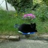 Kitty Barnes profil fotoğrafı