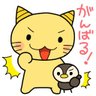 Profilbild von ケロケロ