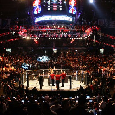 mma_night_ufc's profile picture