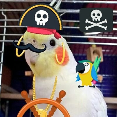 mikoandpino's profile picture