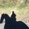 Taty 💚🧡's profile picture