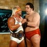 Фото профиля Wrestling Figure Database