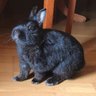 Фото профиля María José Quero 🐰