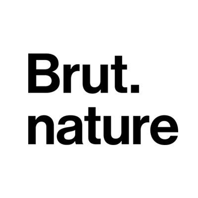 brutnaturefr's profile picture