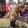 治水 profil fotoğrafı