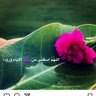 حنين الماضي's profile picture