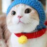 Profilbild von こっしー(やる気のない億トレーダー)