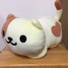 ふみ's profile picture