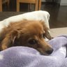 めんたるわーく 的头像
