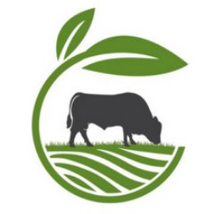 Agridime's profile picture