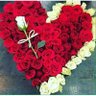 سلمى's profile picture