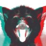 Profilbild von Grzegorz Kot