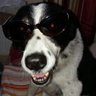Martin Odonnell's profile picture