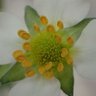 Фото профиля こばしし