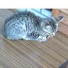 Фото профиля ふじさわ
