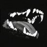 Malek Lone Lupus Nox's profile picture