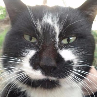 缓缓挪动的懒猫's profile picture