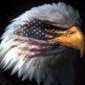 Фото профиля American Loyalist