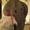 Profilbild von عثمان الغامدي