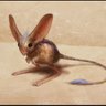 Muad'Dib 的头像