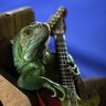 Фото профиля Mary Iguana