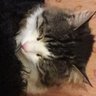 Profilbild von Ümit Var Aydın