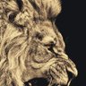 Profilbild von Aslan