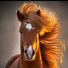Profilbild von Amo