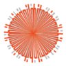 BitcoinAgile's profile picture