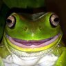 Profilbild von Ducky