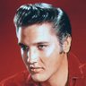 BITCOIN ELVIS's profile picture