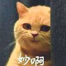 Фото профиля ?*?