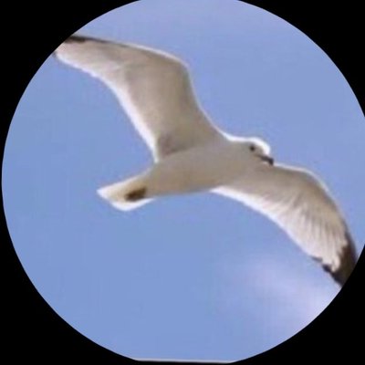 عبدالله الهاشمي's profile picture