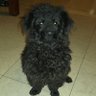 pablo's profile picture