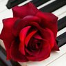 Фото профиля Brilliant Rozen 67